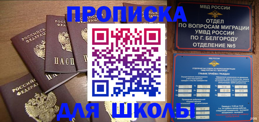 прописка гарантия в Красноярском крае